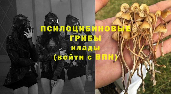 прущая мука Осинники