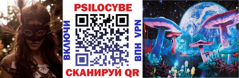 Псилоцибиновые грибы Cubensis  Южноуральск 