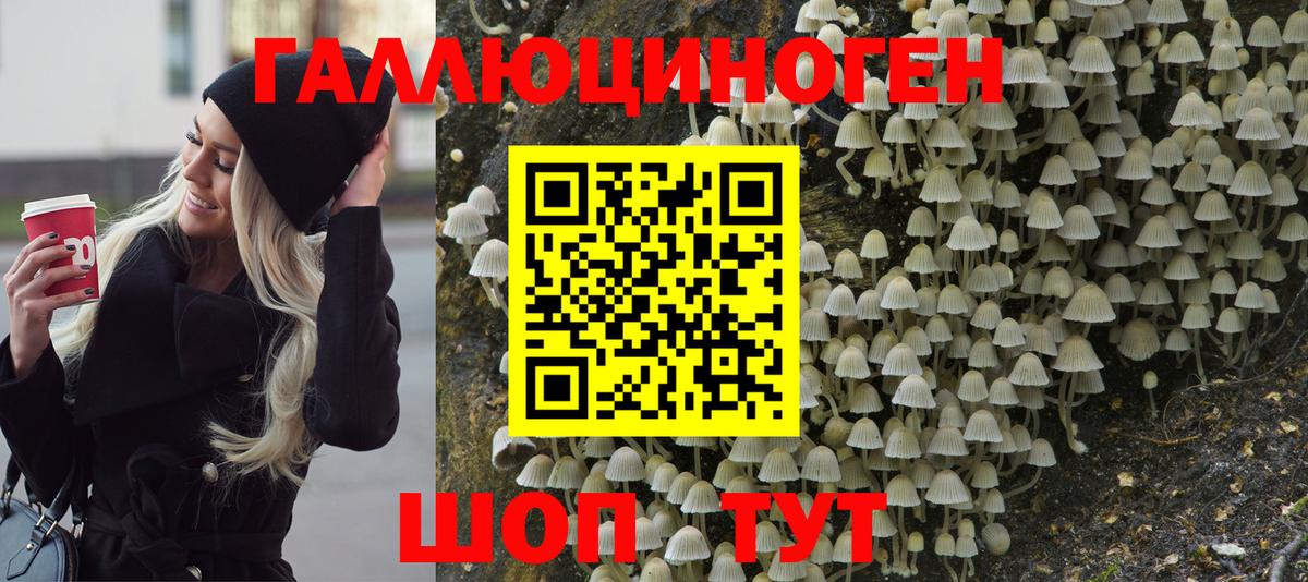 Южноуральск  Галлюциногенные грибы GOLDEN TEACHER  Галлюциногенные грибы ЛСД  Вход с VPN 