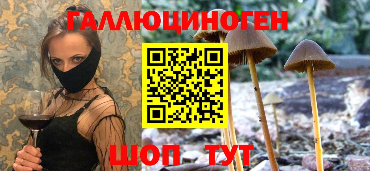 Галлюциногенные грибы мицелий Южноуральск